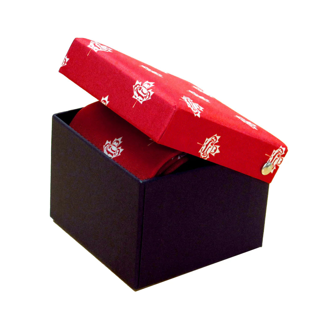 Tie - Silk - Standing Together Strips