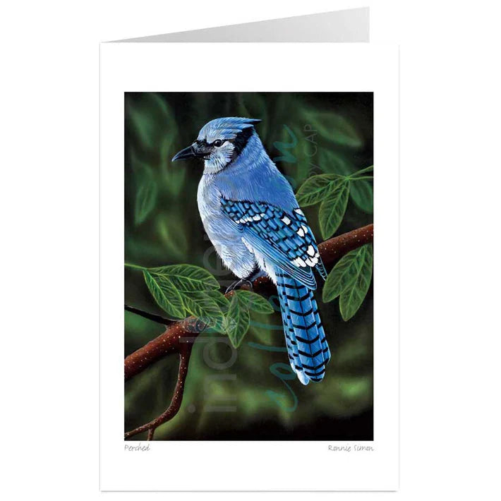 Card - *Simon - Perched - 6x9