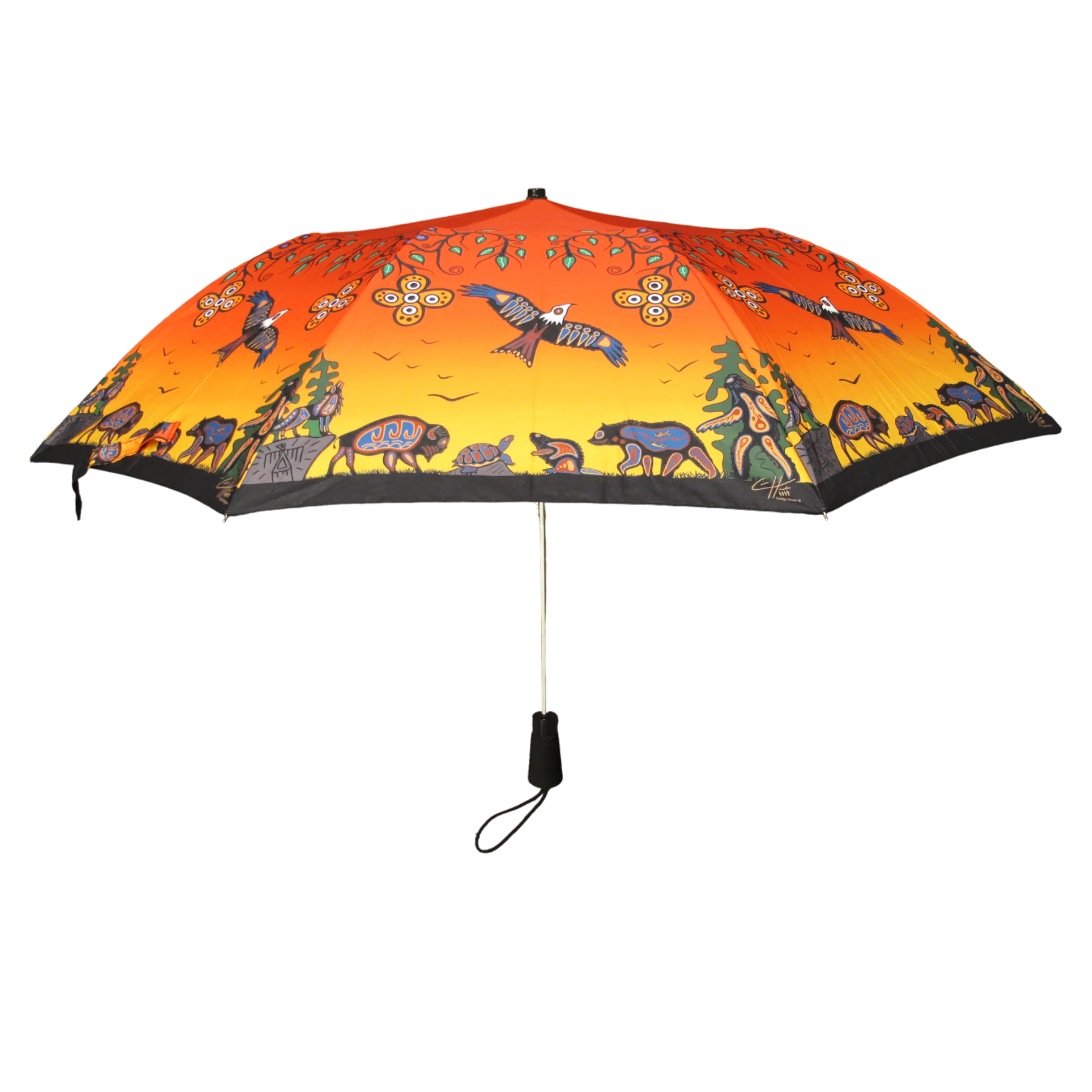 Umbrella - Cody Houle - Seven Grandfather Teachings