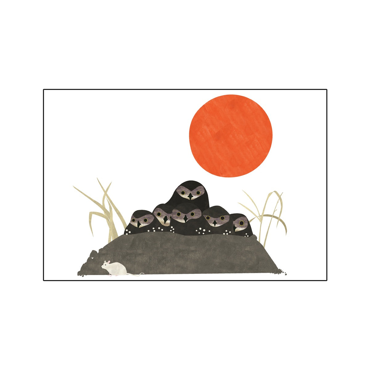 Card - Burrowing Owls Spotting - 5x7