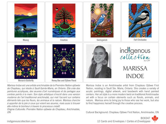 Box of Cards - Marissa Indoe