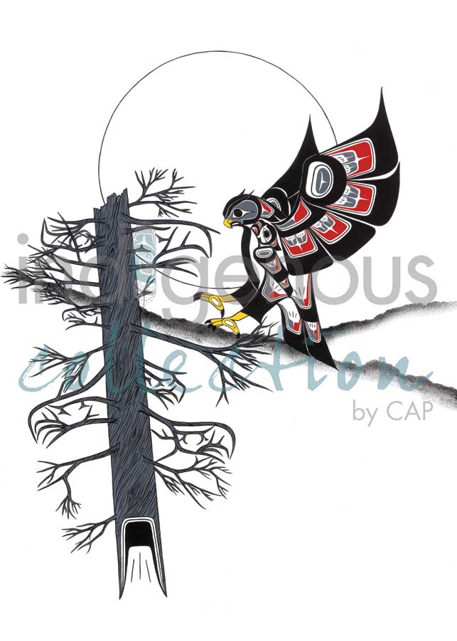 Card - Shorty - Owl Landing - 6x9