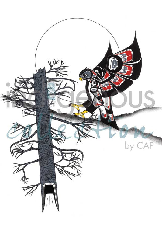 Card - Shorty - Owl Landing - 6x9