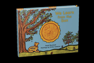 Book - *We Learn From the Sun