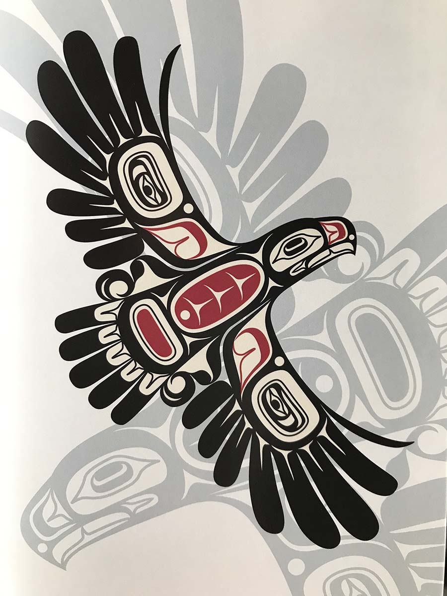 Postcard - Eagle's First Flight