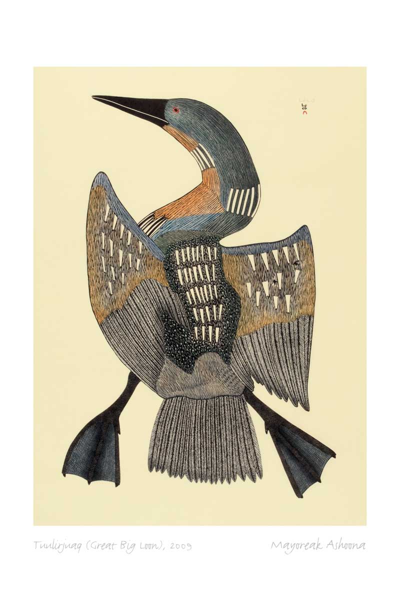 Card - Ashoona - Tuulirjuaq (Great Big Loon) - 6x9