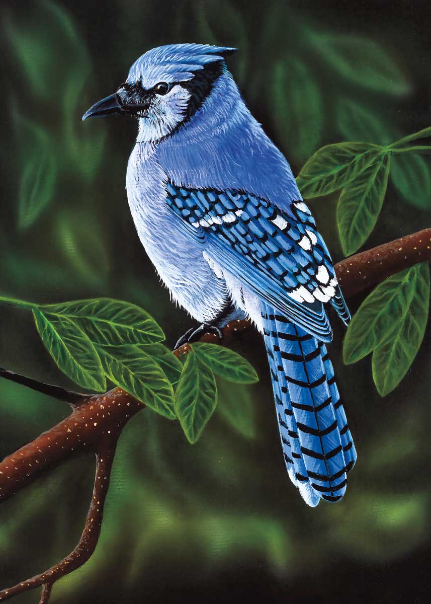 Card - Simon - Perched - 6x9